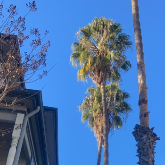 Meet your Posher - Picture 2 of 2